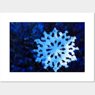 snowflake in blue 5 Posters and Art